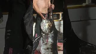 Fishing for bluefin tuna at night in SoCal this angler hooks a big swordfish amp subdues it in 5 mins [upl. by Myrwyn]