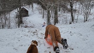 SLED DOGS Outside playing in the SNOW with the Kids and Dog Pack [upl. by Applegate779]