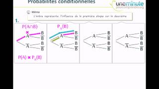 Synthèse dUne Minute  Probabilités Conditionnelles [upl. by Izawa880]