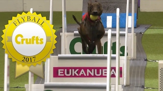 Flyball  Team Semi Finals Part 2  Crufts 2017 [upl. by Llenad]