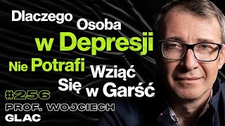 256 Jak Depresja Zaburza Działanie Mózgu Jak Lepiej Wykorzystać Mózg  prof Wojciech Glac [upl. by Assiroc721]