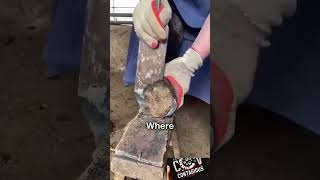 HORSESHOE REMOVAL AND USES  shorts subscribe animals [upl. by Nita]