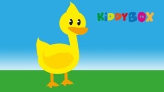 Alle meine Entchen  Kinderlieder KIDDYBOXTV [upl. by Ferrel]