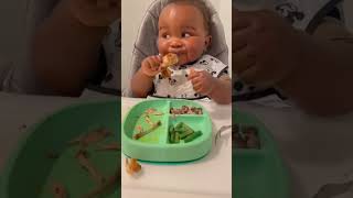 Baby is the best fois xoteamsong baby food viralvideo viralshorts shorts short [upl. by Macey]