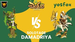 DOFUS TOUCH SOLOTAGE Dung DAMADRIYA 🔥 SPARTA 🔥yosfox DODGE SERVER SRAM [upl. by Aisorbma]