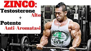 ZINCO Integratore importantissimo per gli SPORTIVI  TESTOSTERONE amp ESTROGENI [upl. by Nahs557]