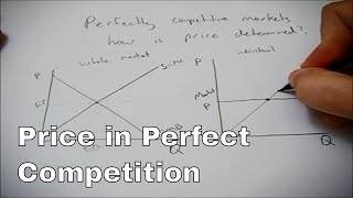 How price is determined in perfect competition [upl. by Koralle]