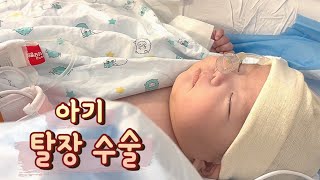 이른둥이 아기 탈장수술ㅣ다인실은 힘들다ㅣ서혜부 탈장ㅣ입원 브이로그 [upl. by Nicky]