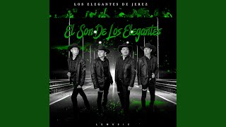 El Son de Los Elegantes [upl. by Allanson]