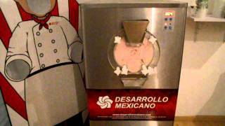 FABRICADORA DE HELADO DURO BQH40 [upl. by Preiser]