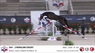 JHERALDIK DAURY  Championnat des Mâles 2ans SF  Atelier Saut en liberté [upl. by Leopoldine]