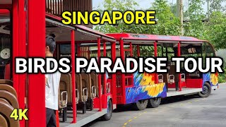 Birds Paradise Tour  Singapore Birds Paradise  Asias Largest Bird Park [upl. by Arquit]