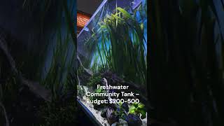 Aquarium Setup Costs Nano Freshwater amp Saltwater Tanks Explained shorts aquarium [upl. by Anaerdna]