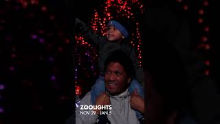 Zoolights 2024 at Point Defiance Zoo amp Aquarium [upl. by Aynnat]