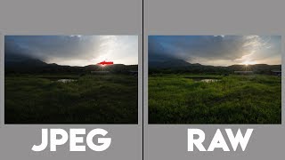 RAW vs JPEG Photography and Comparison [upl. by Rumery]