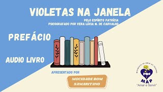 Áudio livro  Violetas na janela  Prefácio [upl. by Sauveur152]