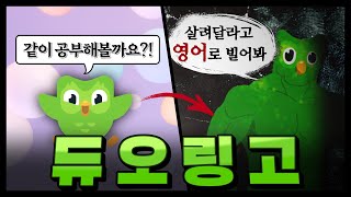 듀오링고는 대체 어쩌다 이런 이미지가 되었는가 [upl. by Einatsed]