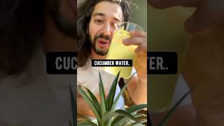 How to make a Plant Fertilizer out of Cucumber Peels  creative explained [upl. by Koo]