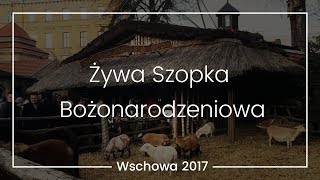 Żywa Szopka Bożonarodzeniowa we Wschowie [upl. by Acisey]