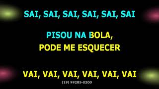 Calcinha Preta • Não gruda não cola [upl. by Ekusuy714]