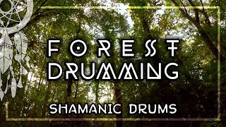 FOREST DRUMMING • Shamanic Drums • Activate Your Higher Mind • Journey for Trance amp Meditation [upl. by Nylave183]