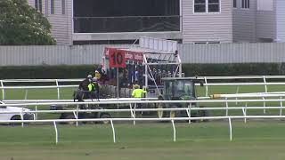 Heat 9  Doomben Jumpouts 08112023 [upl. by Elegna]