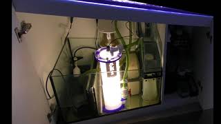 Nutrient Export using an ALR1 Algae Reactor [upl. by Ecniv487]