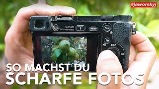 SCHARF STELLEN 📷 So FOKUSSIERST du RICHTIG  Fotografieren lernen [upl. by Low911]