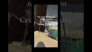 The Cottesmore leapcheck comments part 1 horse equestrianvibes equestrian edit dangerous [upl. by Eanahc]