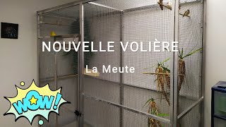 NOUVELLE VOLIÈRE POUR MES OISEAUX EXOTIQUES 😍🐦 [upl. by Zurciram]