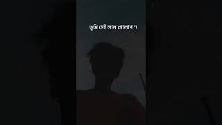 Srotoshini Lyrics Lofi 🖤🦋  ENCORE  Lyrics  স্রোতস্বিনী ✨ fypシ lyrics music hitsong [upl. by Yttel]