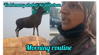 ya hi mary shaher ki pahchan morning routine [upl. by Nyssa]