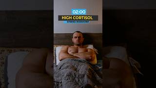 High Cortisol vs Low Cortisol [upl. by Ahsuas934]