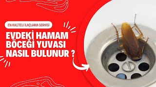 Evdeki Hamam Böceği Yuvası Nasıl Bulunur   ilaclamacomtr [upl. by Plato289]