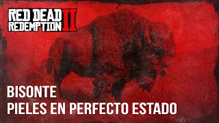 Red Dead Redemption 2  Bisonte Piel en Perfecto Estado [upl. by Enelak]