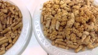 Testing Pine Wood Pellets [upl. by Nolrak]