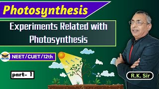 Photosynthesis  Experiment [upl. by Iderf]