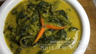 Pui Leaf With Lentil Recipeখুবই মজার হাতে মাখা ডাল পুই শাকের ঘণ্টBasella alba spinach recipe [upl. by Airbas]