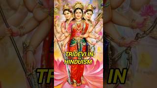 Tridevi 🙏🔱 shorts trideviyaan saraswati lakshmi parvati hindugoddess jaimatadi fypシ viral [upl. by Cindelyn]