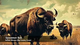 Buffalo Skinners Spaceman Bob Big Country Cover [upl. by Allister]