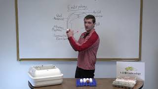 4H Embryology Initial Classroom Presentation [upl. by Aniahs]