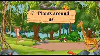 Environmental Trail Book 3  Chapter 7 Plants around us [upl. by Utham]