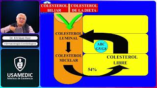 USAMEDIC  Farmacología Cardiológica  2da parte [upl. by Forkey906]