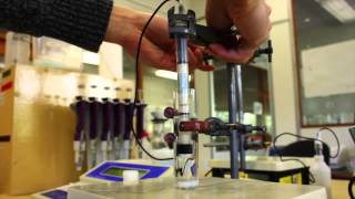 Chemistry  Ion Selective Electrode experiment [upl. by Lyram675]