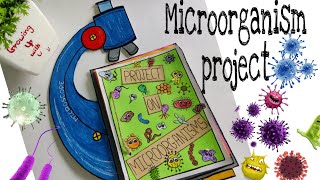 Project on Microorganisms l Grade 8 [upl. by Atinuhs552]