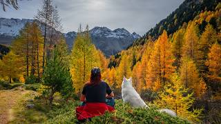 Falling for autumn in Switzerland  Kingdom of Golden Larches [upl. by Boehike650]