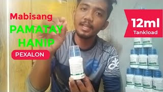 Lasong Pamatay sa Hanip o Ulmog at Green leaf Hopper  PEXALON Systemic Insecticide [upl. by Courcy]