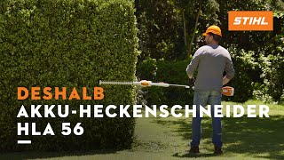 Schneidet hohe Hecken und Bodendecker mühelos zurück  Deshalb STIHL AkkuHeckenschneider HLA 56 [upl. by Arammat]