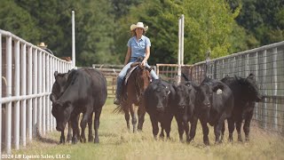 quotHeez Easy Tonitequot Hauled off property to ridecheck cows  SOLD [upl. by Hernandez]