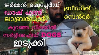 dog farm idukki  Aldrin kennel idukki  best dog farm best​ kennel in kerala  dog breeding farm [upl. by Radnaxela]